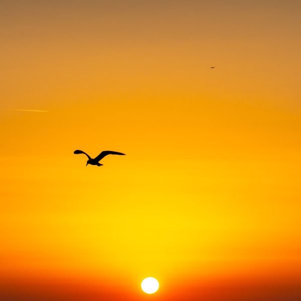 william-sinclair-7fTrdkIAVvA-unsplash